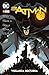 Batman: Vigilancia nocturna