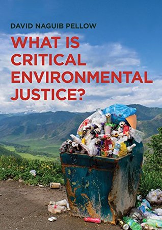 What is Critical Environmental Justice? (Kindle Edition)