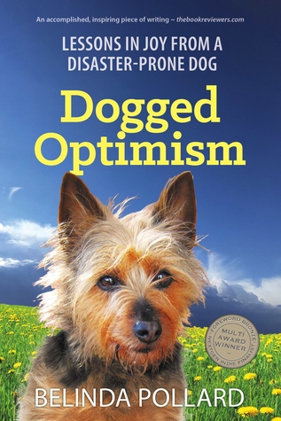 Dogged Optimism: Lessons in Joy from a Disaster-Prone Dog