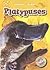 Platypuses