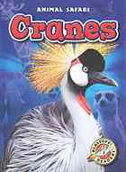 Cranes (Animal Safari)
