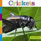 Crickets (Seedlings)