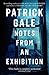 Notes from an Exhibition by Patrick Gale