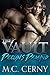 Declan's Demand (Dockside Devils Book 1)