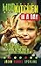 Mud Kitchen in a Day: How t...