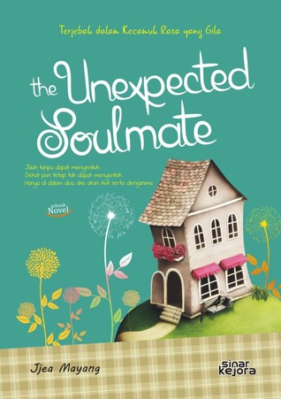 The Unexpected Soulmate