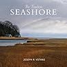 The Timeless Seashore by Joe Votano