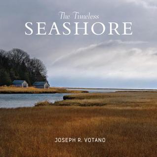 The Timeless Seashore (Hardcover)