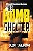 The Bomb Shelter (David Mapstone Mysteries, 9)