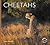 Cheetahs (Worldlife Library)
