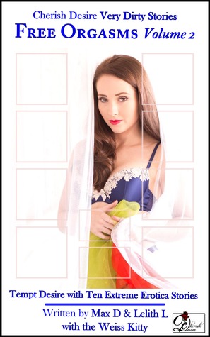 Very Dirty Stories: Free Orgasms, Volume 2 (ebook)