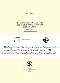 Il fiammifero è in mano mia e le vostre piccole nazioni sono di carta (Paperback)