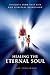 Healing the Eternal Soul - Insights from Past Life and Spiritual Regression