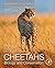 Cheetahs: Biology and Conse...