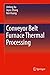 Conveyor Belt Furnace Therm...