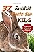 Book for kids: 37 Rabbit Fa...