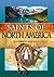 Saints of North America by Jean Olwen Maynard