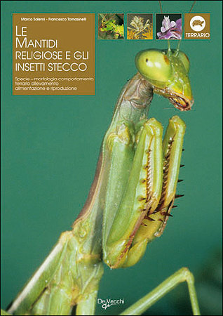 Le Mantidi Religiose e gli Insetti Stecco: Specie, morfologia, comportamento, terrario, allevamento, alimentazione e riproduzione