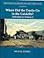 Mountain Railroads of New York State, Volume 4: Where Did the Tracks Go in the Catskills? Addendum to Volume 4 (Mountain Railroads of New York State, #4 Addendum)