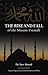 The Rise and Fall of the Muslim Ummah