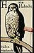 H wie Habicht