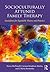 Socioculturally Attuned Family Therapy: Guidelines for Equitable Theory and Practice