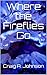Where the Fireflies Go