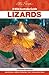 GUIDE TO AUSTRALIAN LIZARDS by Stephen Swanson