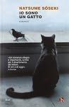Io sono un gatto