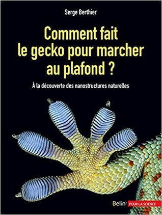 Comment fait le gecko pour marcher au plafond ? (Paperback)