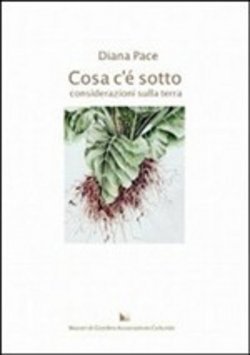 Cosa c'è sotto Considerazioni sulla terra (Paperback)