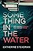 Something In The Water