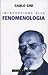 Introduzione alla fenomenologia