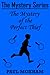 The Mystery of the Perfect Thief by Paul Moxham