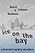 Ice on the Bay (Howard County Mysteries, #3)