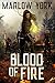 Blood of Fire by Marlow York