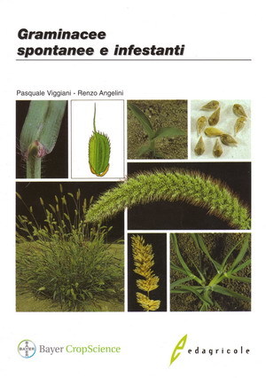 Graminacee spontanee e infestanti (Paperback)