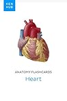 Anatomy flashcard...