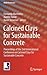 Calcined Clays for Sustainable Concrete: Proceedings of the 2nd International Conference on Calcined Clays for Sustainable Concrete (RILEM Bookseries, 16)