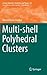 Multi-shell Polyhedral Clusters (Carbon Materials: Chemistry and Physics, 10)