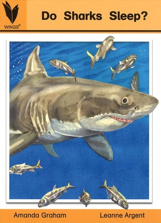 Do Sharks Sleep?