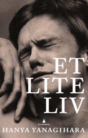 Et Lite Liv