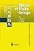 Blocks of Finite Groups: Th...
