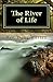 The River of Life by Doug Warren