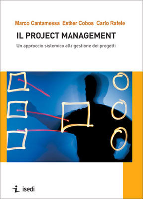 Il project management: un approccio sistemico alla gestione dei progetti (Paperback)