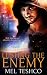 Lusting the Enemy (Nightmix #1)