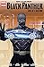 Black Panther: Soul Of A Ma...