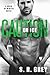 Caution on Ice (Boys of Winter #4)