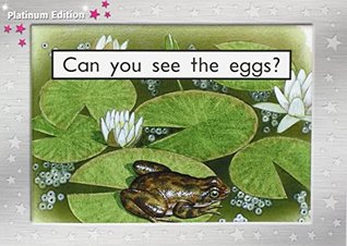 Can You See the Eggs? (Paperback)