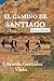 El camino de Santiago by Eduardo González Viaña
